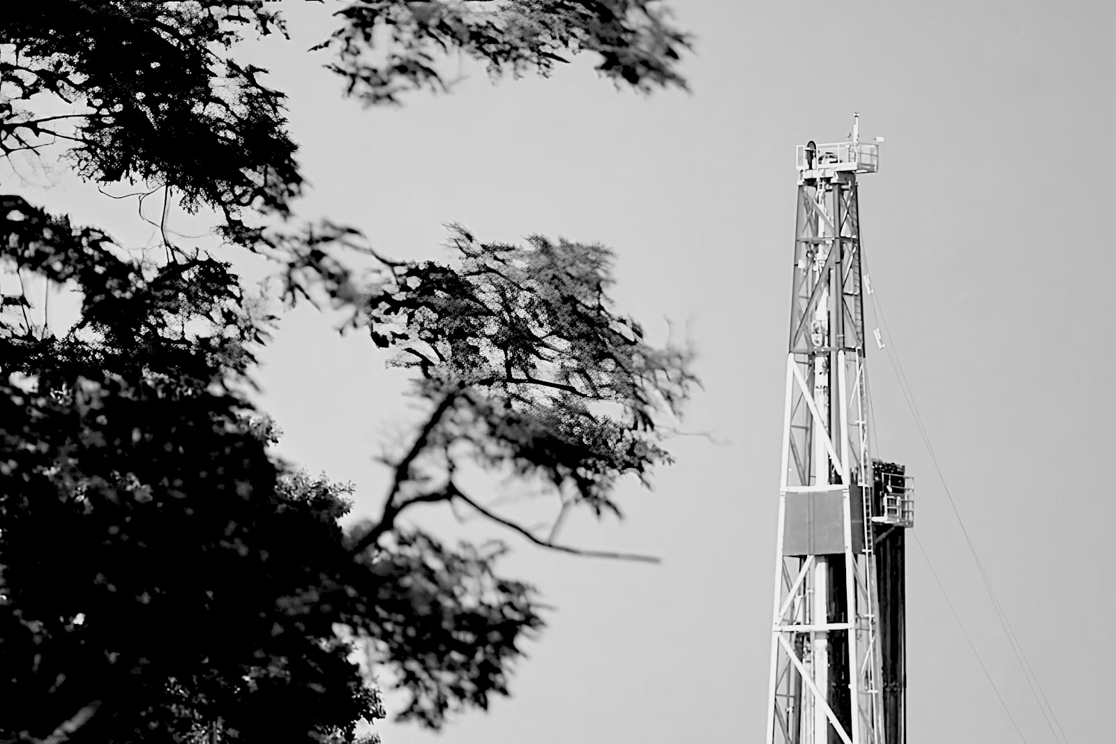 Drilling rig rising above the treeline